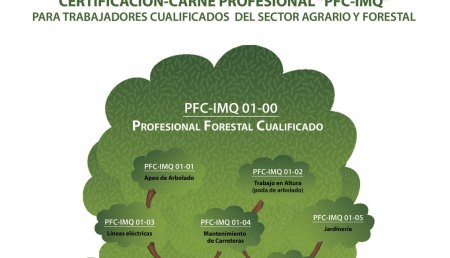 STIHL presenta su nuevo programa de cualificación forestal
