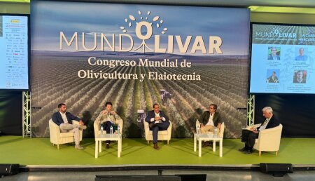 Kubota apuesta por el Olivar Español