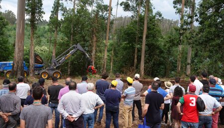La feria Galiforest Abanca premiará  las mejores innovaciones del sector forestal entre 13 propuestas