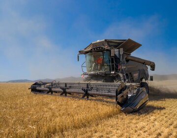 Compromiso «Farmer First» con la cosechadora Fendt IDEAL