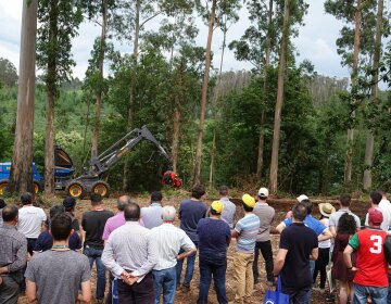 La feria Galiforest Abanca premiará  las mejores innovaciones del sector forestal entre 13 propuestas
