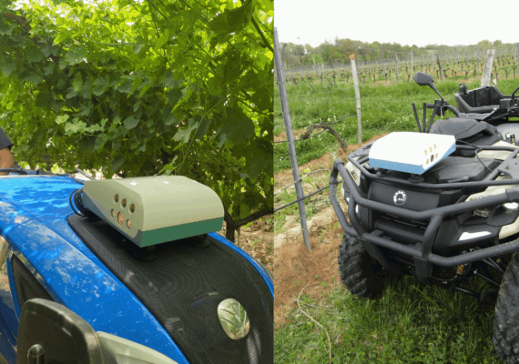 Cámaras e IA para predecir rendimientos y detectar enfermedades en viñedos y frutales