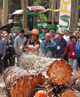 La feria forestal Galiforest Abanca celebra una edición de récord con el monte como escenario: 387 firmas, 125 expositores directos y 18.162 metros cuadrados 