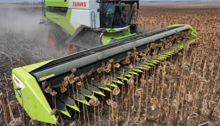 Nuevos cabezales de ordeño de girasoles SUNSPEED de CLAAS: Independientes con una anchura de trabajo de hasta 11,90 m