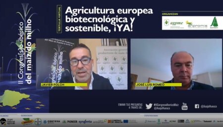 Biotecnología europea en maíz, 20 años de experiencia y 20 de retraso frente al resto del mundo