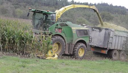 Ensilado Ganaderia Castro Buxia por Servicios Agricola Bermudez