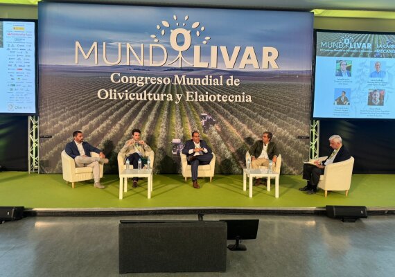 Kubota apuesta por el Olivar Español