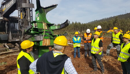 Forest Pioneer presenta la nueva taladora de cizalla TMF 600, especial para eucalipto