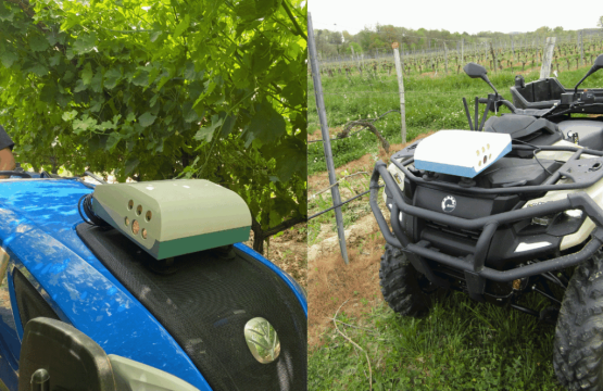 Cámaras e IA para predecir rendimientos y detectar enfermedades en viñedos y frutales
