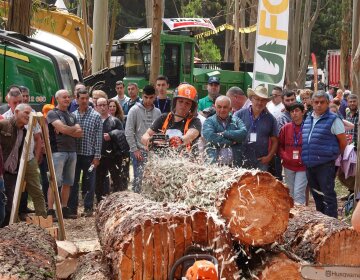 La feria forestal Galiforest Abanca celebra una edición de récord con el monte como escenario: 387 firmas, 125 expositores directos y 18.162 metros cuadrados 