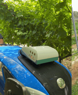 Cámaras e IA para predecir rendimientos y detectar enfermedades en viñedos y frutales