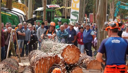 La feria forestal Galiforest Abanca celebra una edición de récord con el monte como escenario: 387 firmas, 125 expositores directos y 18.162 metros cuadrados 