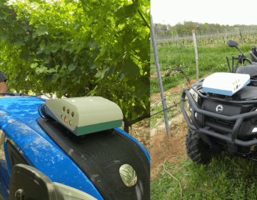 Cámaras e IA para predecir rendimientos y detectar enfermedades en viñedos y frutales