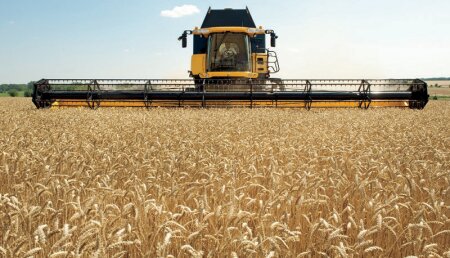 NUEVO CABEZAL DE GRANO VARIFEED™ DE 12,5 METROS EN LA COSECHADORA CR DE NEW HOLLAND