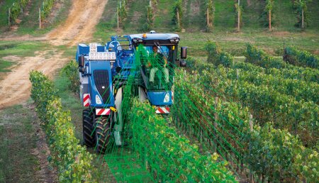 Los nuevos sistemas New Holland SmarSteerTM y CustomSteerTM mejoran la productividad y el confort en sus vendimiadoras