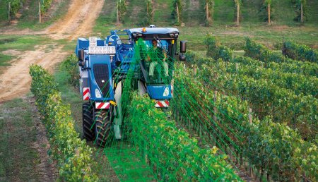 Los nuevos sistemas New Holland SmarSteerTM y CustomSteerTM mejoran la productividad y el confort en sus vendimiadoras