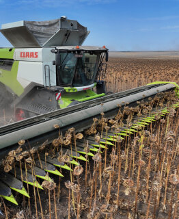 Nuevos cabezales de ordeño de girasoles SUNSPEED de CLAAS: Independientes con una anchura de trabajo de hasta 11,90 m