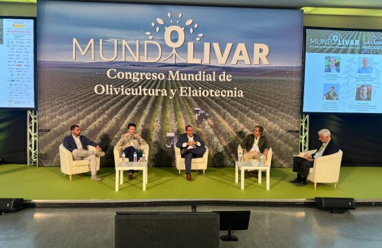 Kubota apuesta por el Olivar Español