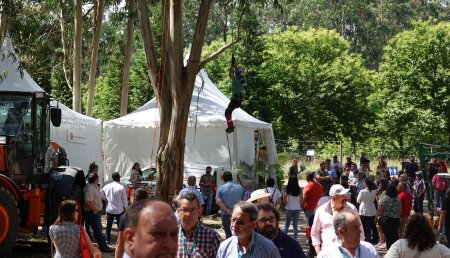 Gran interés de los profesionales del sector forestal en Galiforest Abanca 2024, que cuenta ya con una alta inscripción previa de visitantes