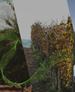 Fede presenta la solución universal de digitalización de tratamientos Sprayer Connect en FIMA 2026