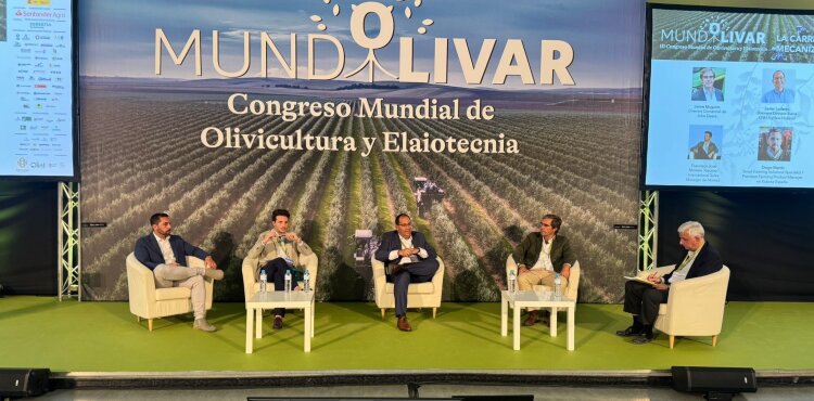 Kubota apuesta por el Olivar Español