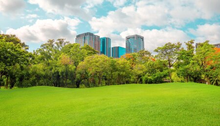 Nace Internaco Green Space