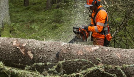 Husqvarna anuncia el lanzamiento de una nueva generación de motosierras para uso profesional, con mayor rendimiento, maniobrabilidad y durabilidad