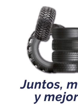 DON TYRE y NEX TYRES culminan su integración y operan ya bajo una única estructura.