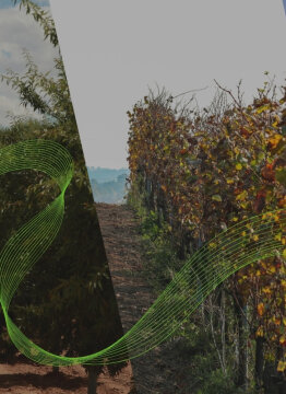 Fede presenta la solución universal de digitalización de tratamientos Sprayer Connect en FIMA 2026